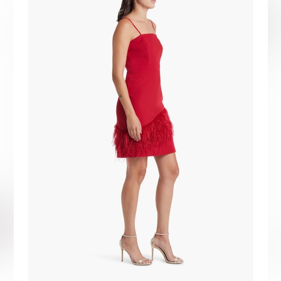 Sam Adelman Feather Hem Sheath Dress women’s size 6 - Picture 3 of 5